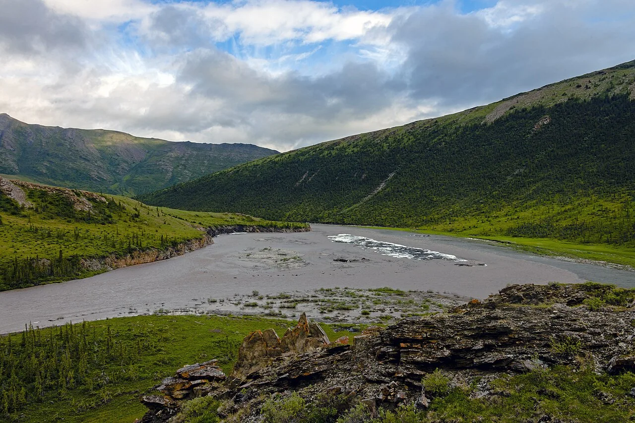 Muddy runoff fading into clearer water at a creek mouth