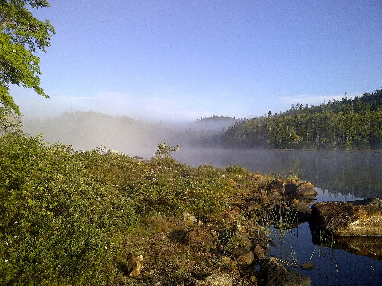 Sunrise light over a calm, shallow cove