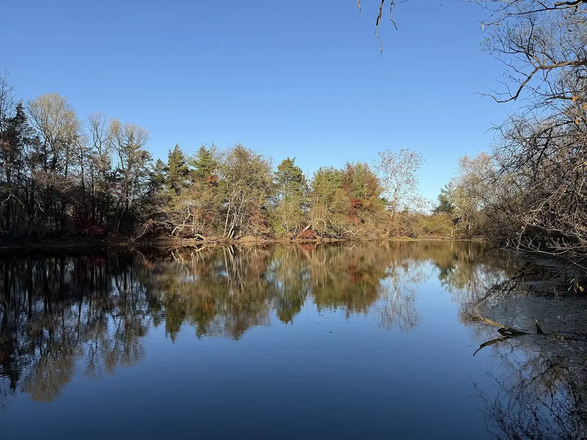 A small farm pond in late autumn, bare trees and the last orange leaves reflected in still blue water.