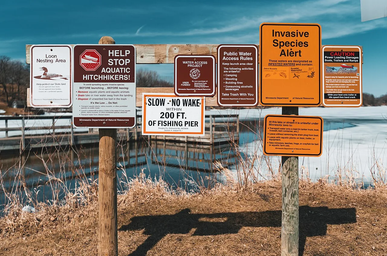A public fishing access point along a lake shoreline