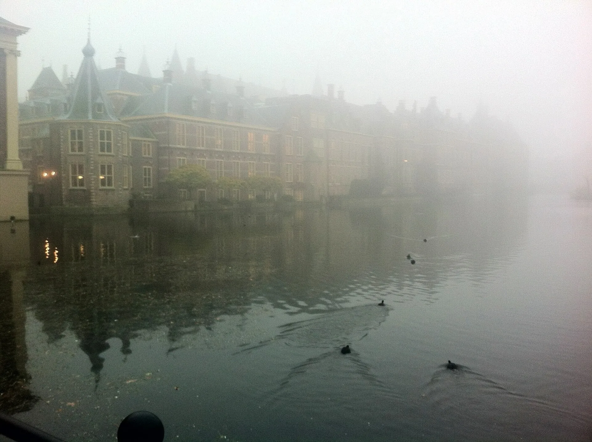 Fiske i november: storgäddans månad