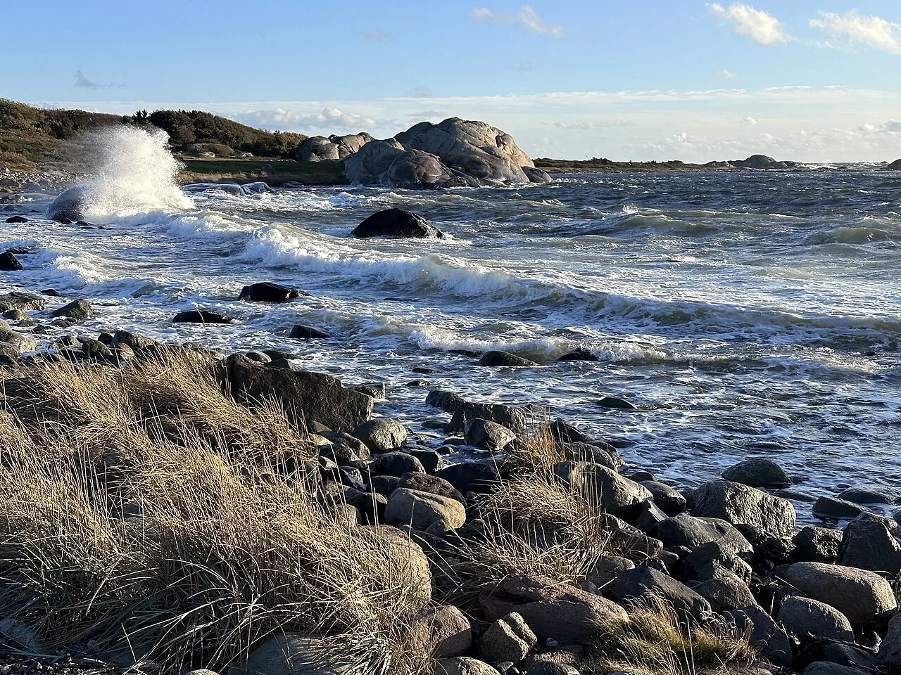 Vind som bygger krusningar längs en grund kuststrand