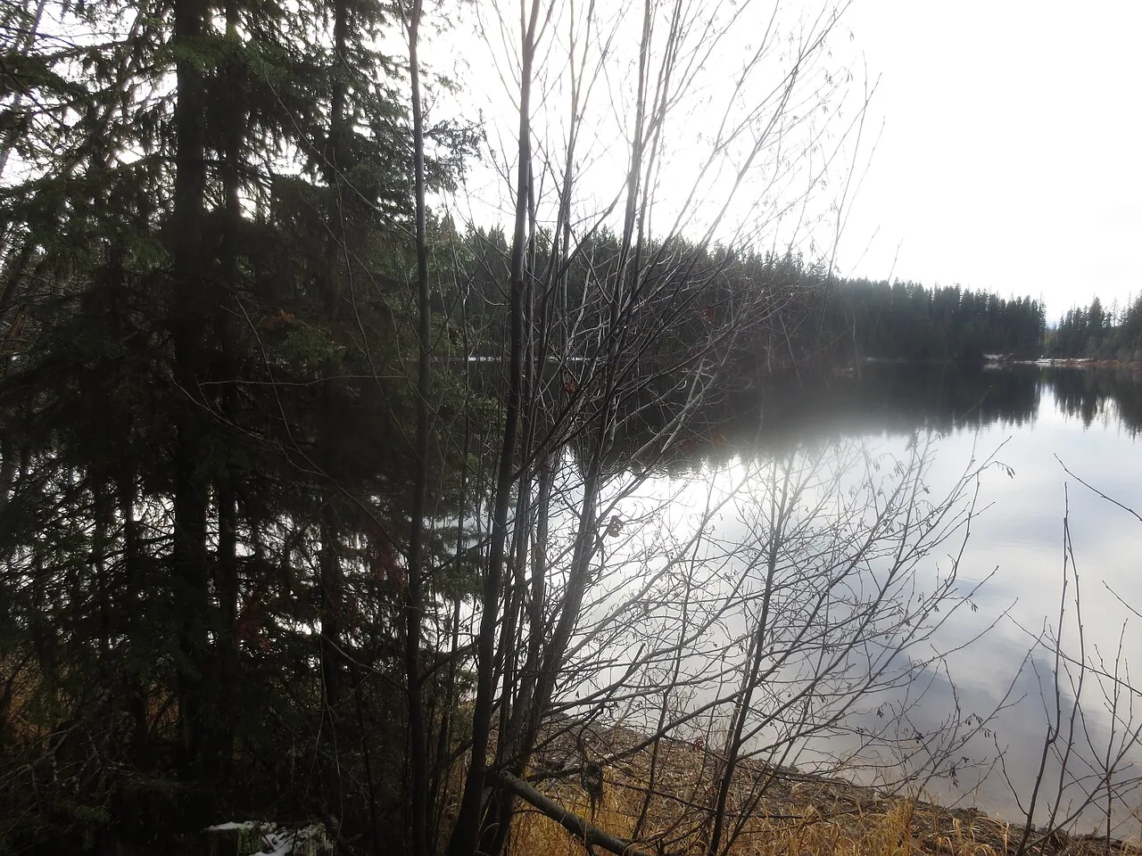 Vind och vågor mot en höststrand
