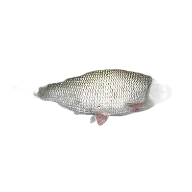 Id