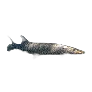 Muskellunge